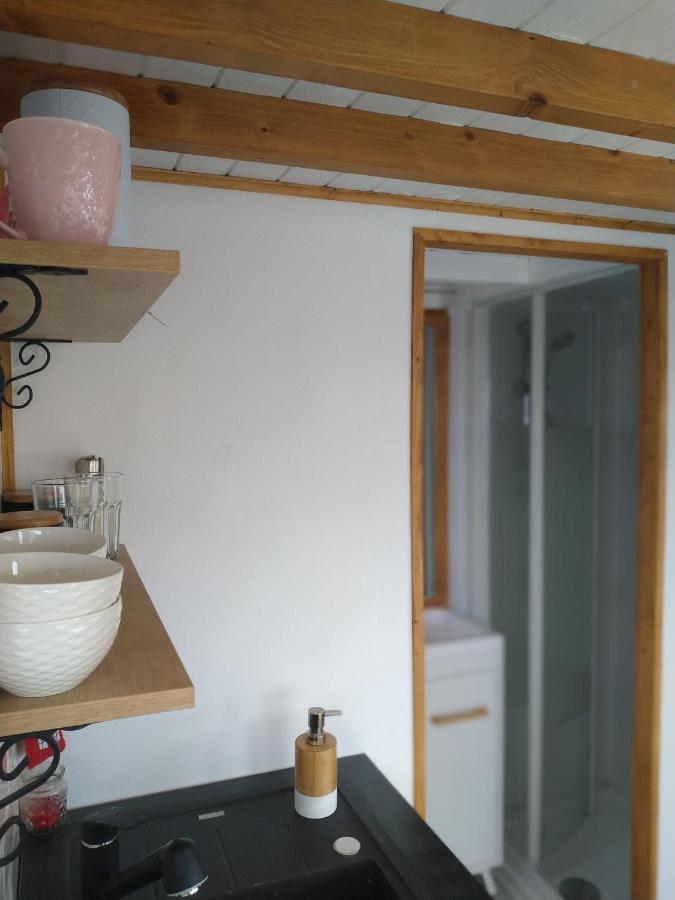 Tiny House Cluj With Jacuzzi Villa Sinnicoara Exterior photo